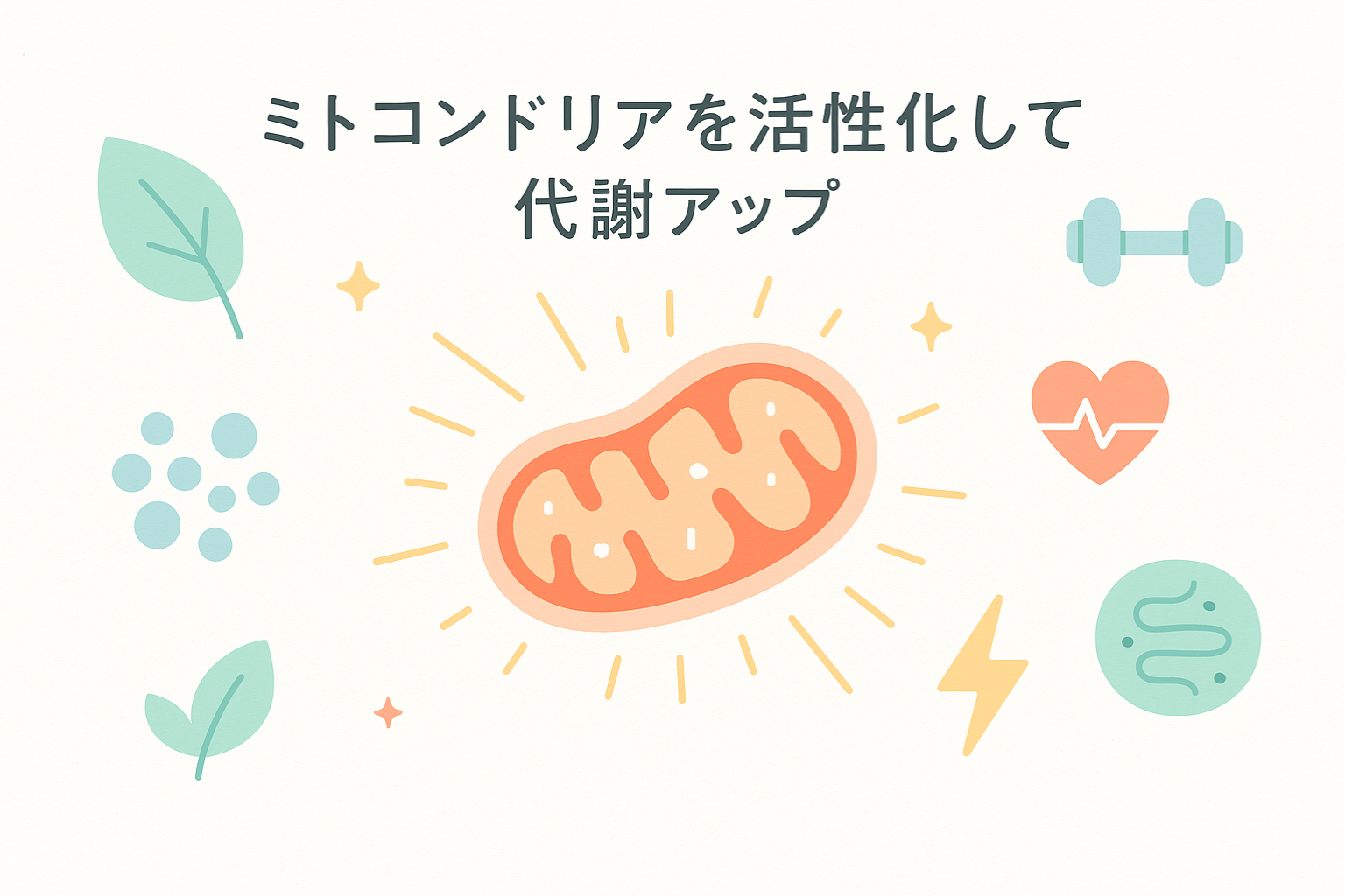 ミトコンドリアを活性化させて健康的に代謝をアップ！